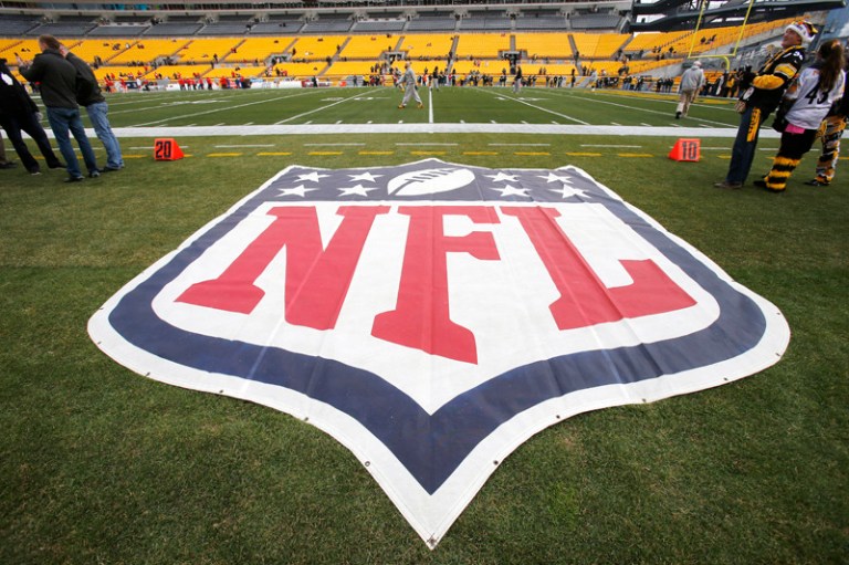 The NFL was tarnished by one ugly stain after another in 2014. (AP Photo/Tom Puskar)
