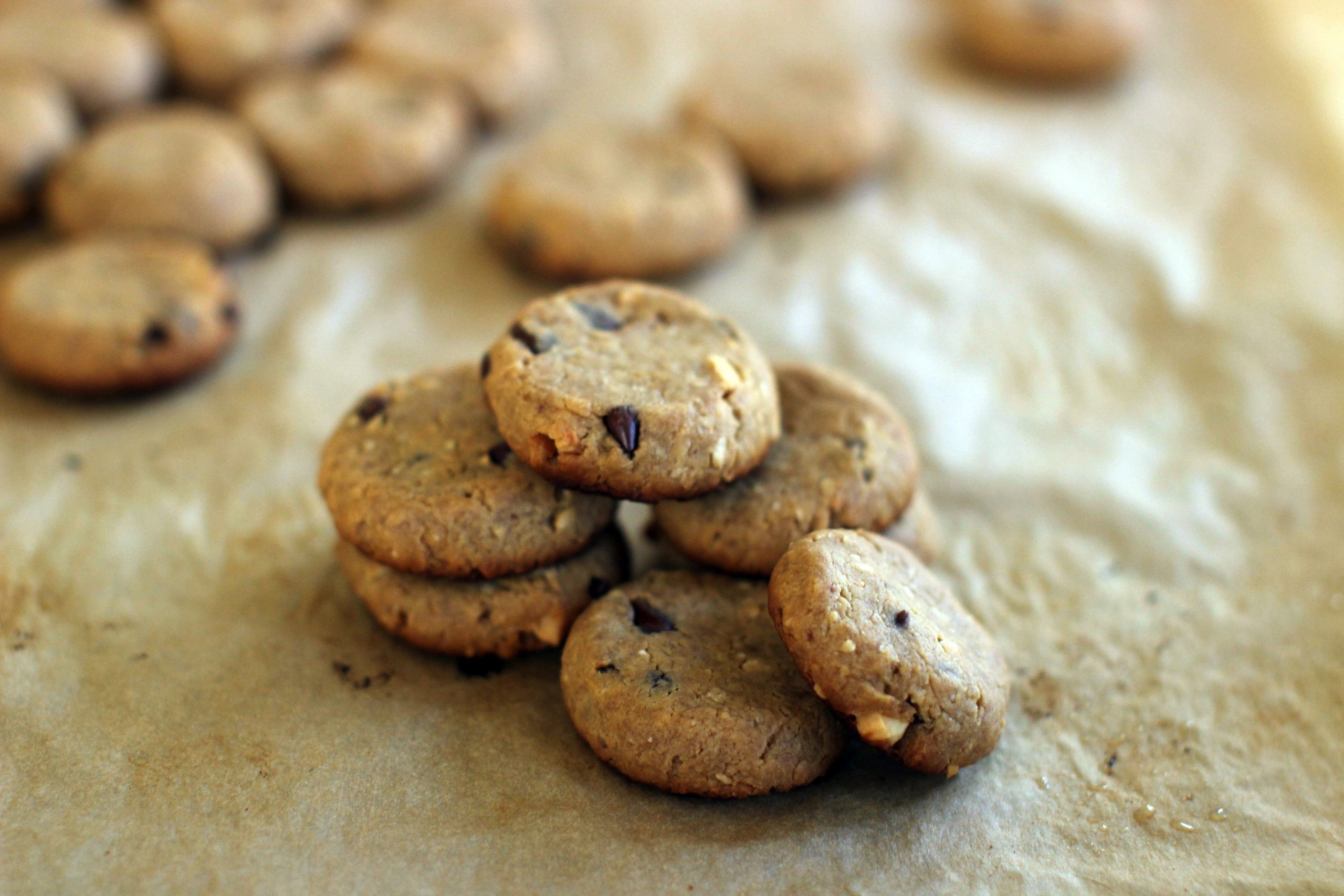 EPA flooded with cookies before budget rollout