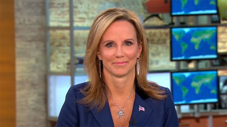 Frances Townsend served former President George W. Bush as homeland security adviser from 2004 to 2008. (Screen shot)