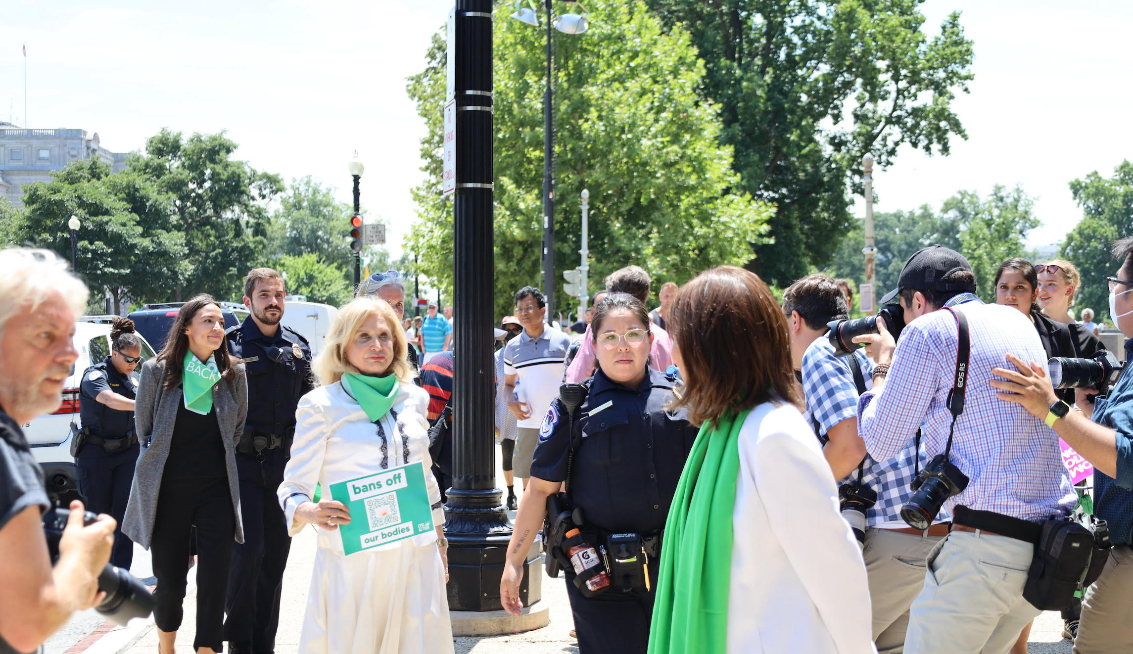 7:19 Dems arrested .jpeg