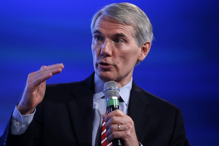 If the Republican Party were to take control of the Senate in the fall, Sen. Rob Portman believes they could get four things done quickly. (AP Photo)
