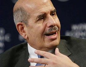 The ElBaradei Candidacy