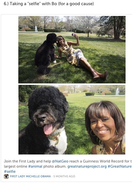 White House promotes Michelle Obama’s ‘selfie’ with dog Bo