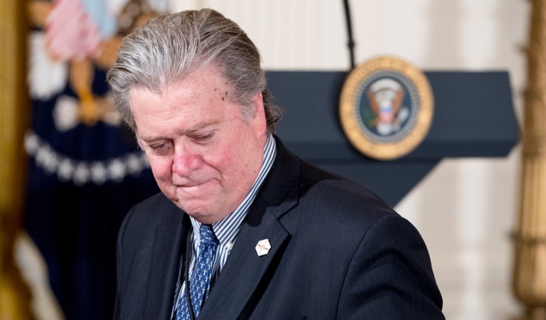 What was a Wall-Street-guy-turned-Hollywood-producer-turned-Breitbart-CEO doing on the council in the first place? (AP Photo/Andrew Harnik)