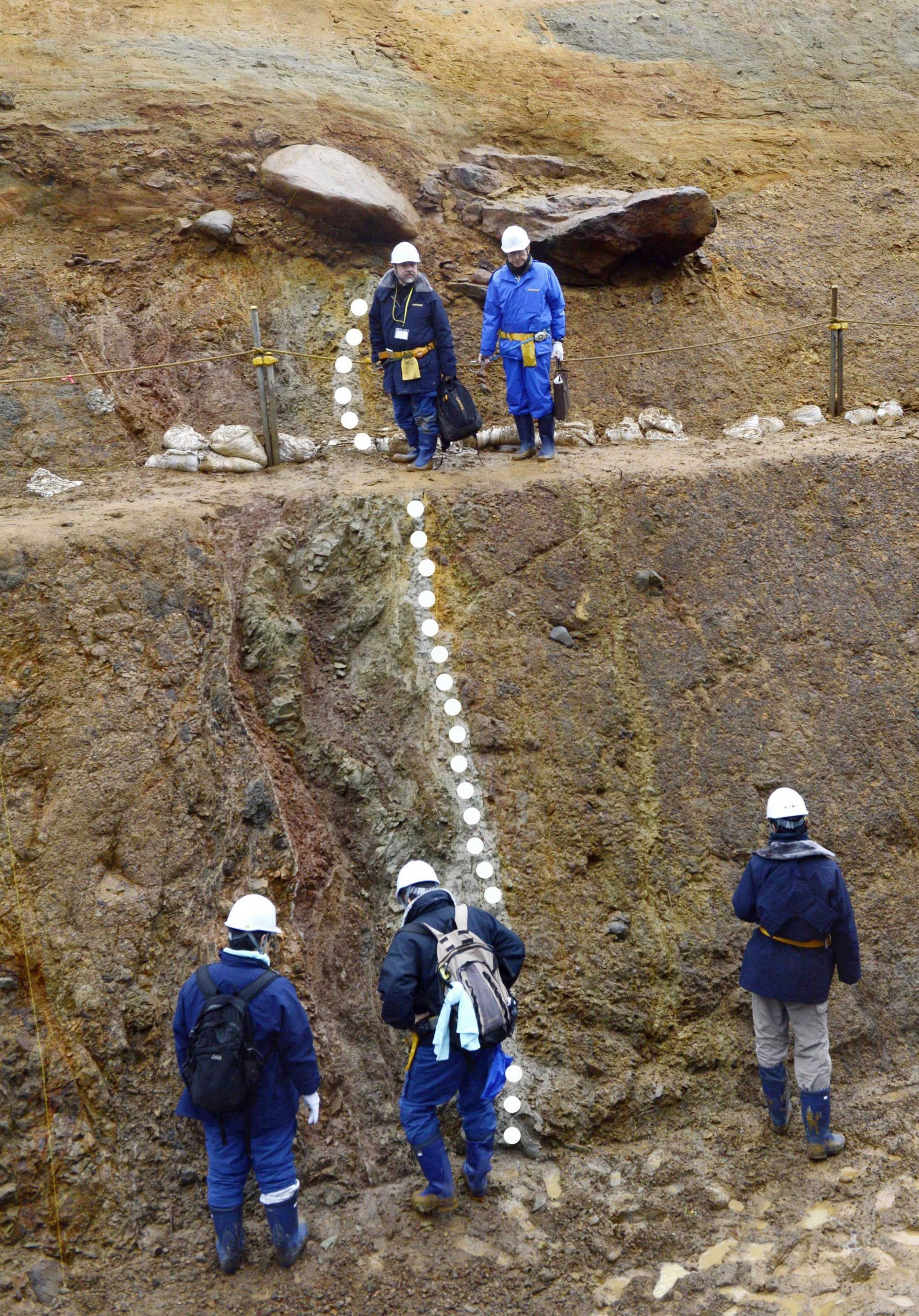 Panel: Fault under Japan nuke plant likely active