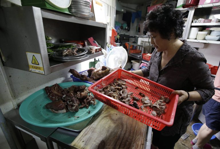 HOLD FOR USE WITH STORY SLUGGED SOUTH KOREA DOGS DYING DELICACY BY YOUKYUNG LEE, In this photo taken on Tuesday, Aug. 12, 2014, A chef and owner Oh Keum-il of Daegyo, the dog meat restaurant, shows how to cook for dos meat at her restaurant in Seoul, South Korea. (AP Photo/Lee Jin-man)