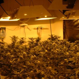 The Devastation That’s Really Happening in Colorado