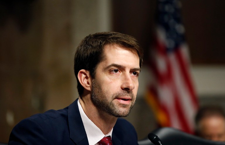 Sen. Tom Cotton, R-Ark., dismissed House Speaker Paul Ryan's future plans for healthcare after repealing Obamacare. (AP Photo/Alex Brandon)