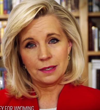 Liz Cheney Announces House Bid