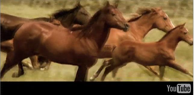 New Rick Perry video boasts newfound momentum