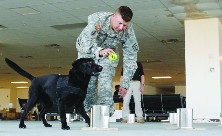 Army Sgt. Jason Cartwright leans over to reward Isaac, a Labrador retriever, during training to reinforce Isaac's odor detection skills in preparation for the National Odor Recognition Test (NORT) on Wednesday, March 28, 2012, at Kansas City International Airport in Kansas City, Mo. The K9s also received specialized training to recognize peroxide-based explosives, commonly used in homemade explosives. The Bureau of Alcohol, Tobacco Firearms and Explosives Kansas City Field Division conducted the three-day event, which concludes Thursday.  (AP Photo/The Kansas City Star, Jill Toyoshiba)