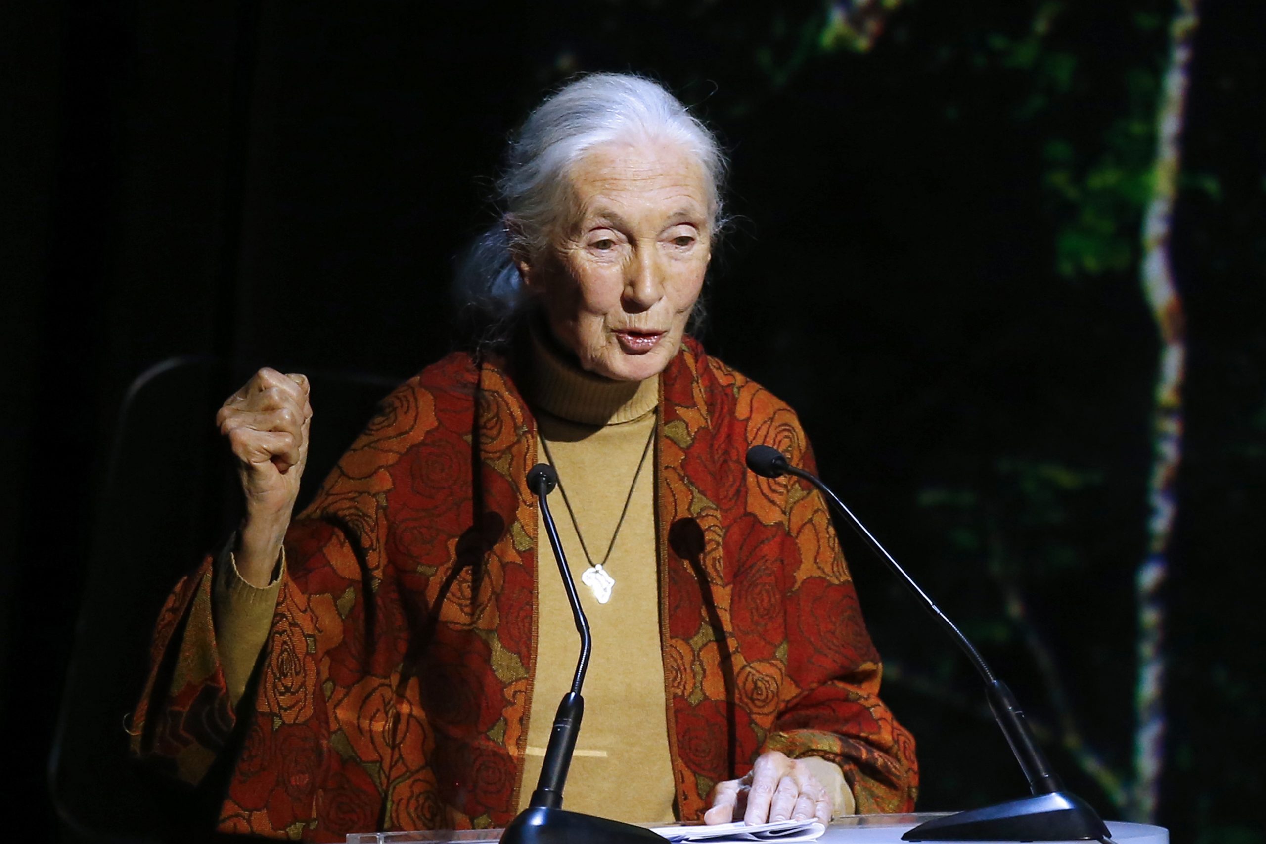 Jane Goodall: Trump debates like a chimp in a dominance ritual