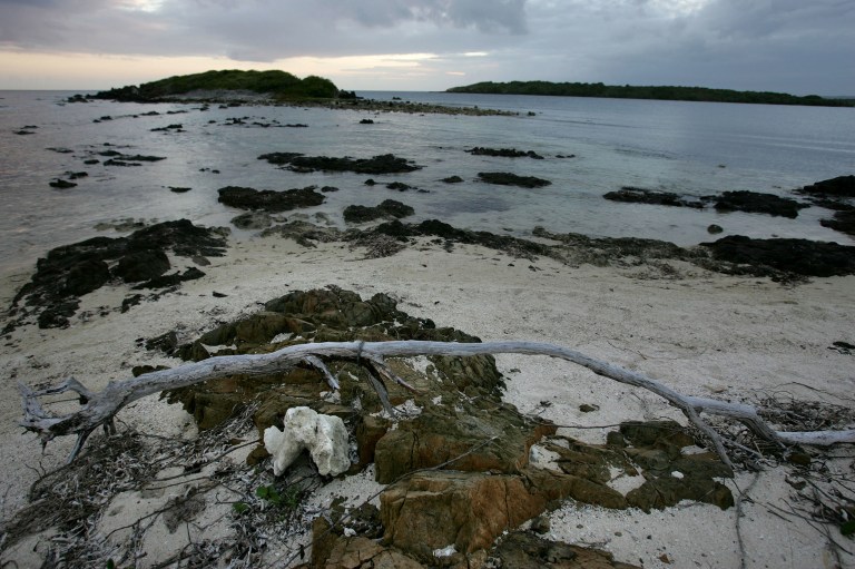 The House's draft bill to solve the territory's soaring debt also would convey the island of Vieques back to the Puerto Rican government, which the green groups say would place in jeopardy the wildlife sanctuary there that currently falls under the authority of the Department of Interior. (AP Photo/Brennan Linsley, File)