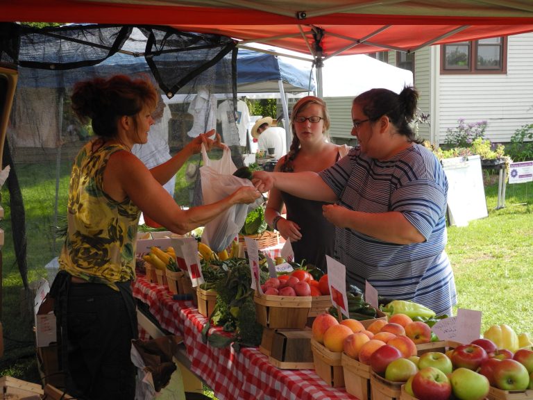 In this Aug. 21, 2013 photo, Lynn Phillips, of Rudich Farms in Ray Township, Mich., accepts EBT tokens from Orion Township residents Amy Weronka, right, and her daughter Diana in exchange for produce at the Lake Orion, Mich., Farmers Market.
