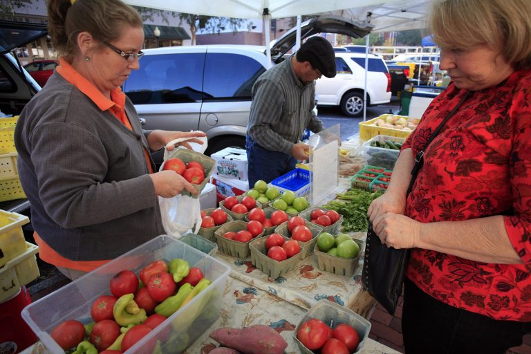   FILE - In this Wednesday, Nov. 7, 2012, file photo, Gloria Castenholz, right, purchases tomatoes at the Union Street Farmer's Market in downtown Gainesville, Fla. Cheaper gas drove down a measure of wholesale prices in November for the second straight month, a sign inflation remains in check. (AP Photo/The Gainesville Sun, Erica Brough) THE INDEPENDENT FLORIDA ALLIGATOR OUT  