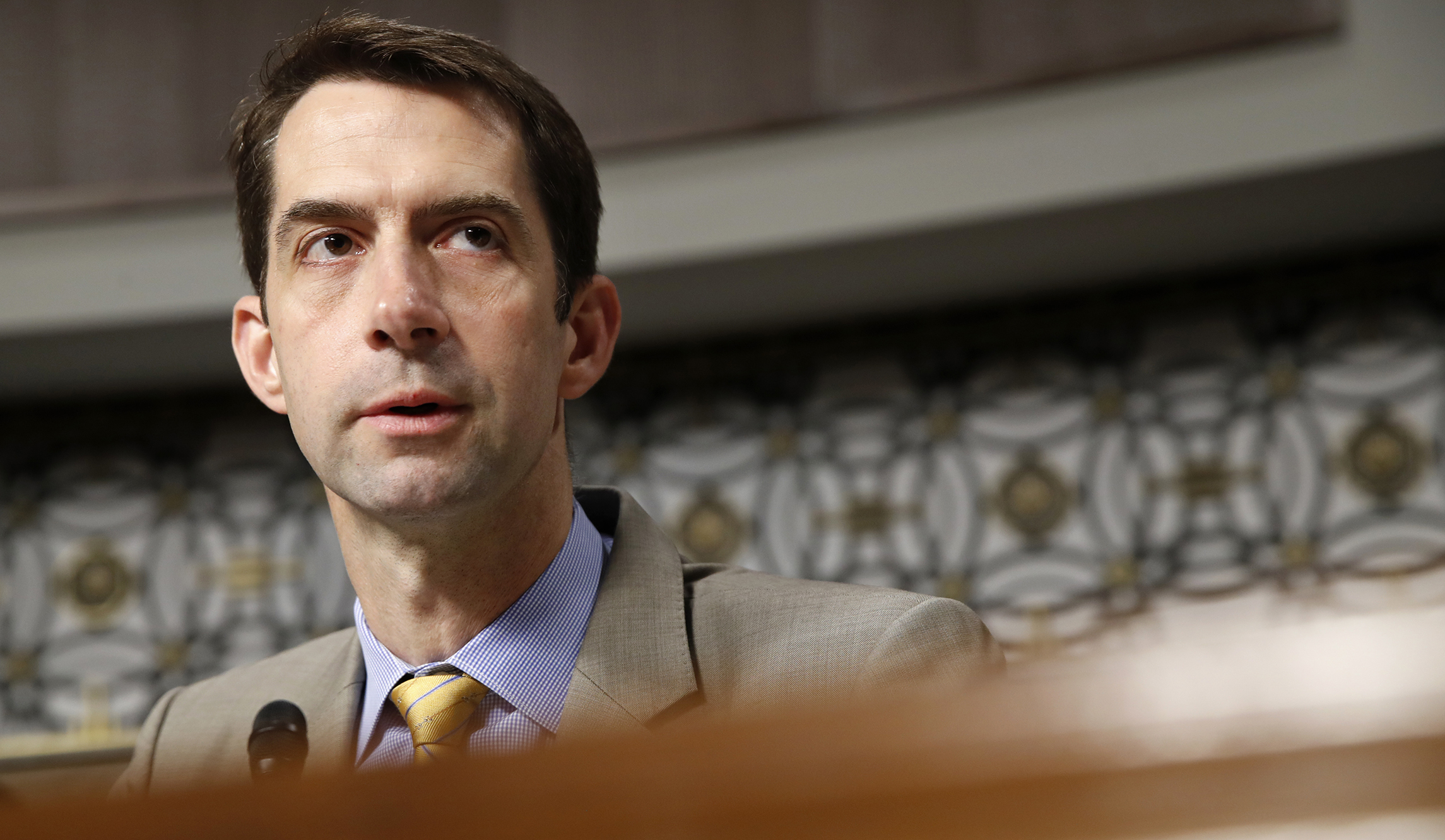 Tom Cotton calls Susan Rice ‘Typhoid Mary of the Obama administration’ as VP speculation reaches fever pitch