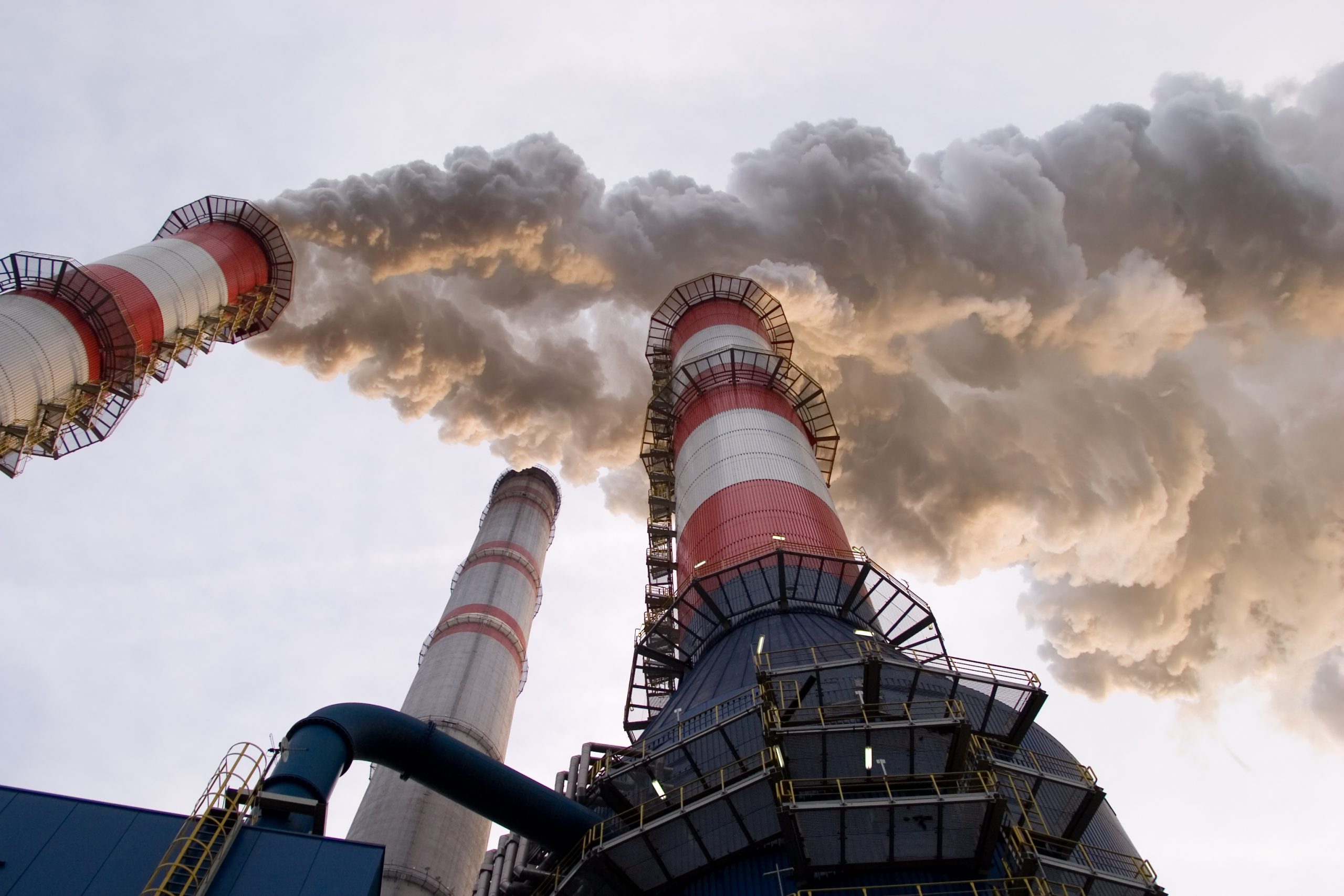 Can a carbon tax ever work as a conservative solution?