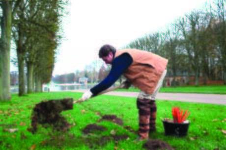 Talking Points: Royal mole catcher, Detroit bankruptcy, black boxes