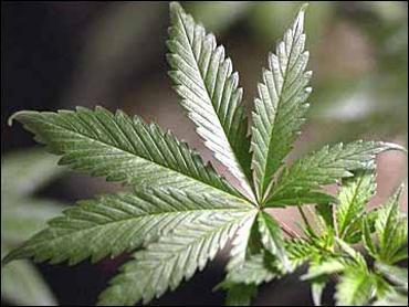 Bipartisan bill seeks to study medical cannabis for veterans