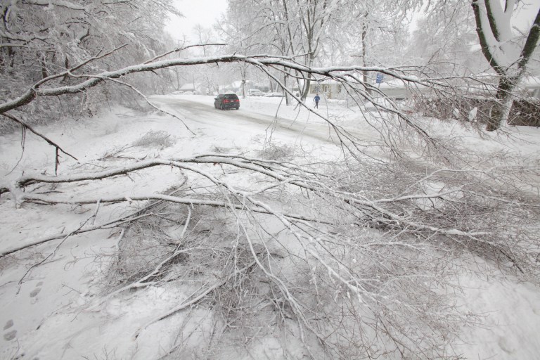   A downed tree on Old Middleton Road had what little traffic there was down to one eastbound lane in Madison, Wis., Thursday afternoon, Dec. 20, 2012. (AP Photo/Wisconsin State Journal, M.P. King)  