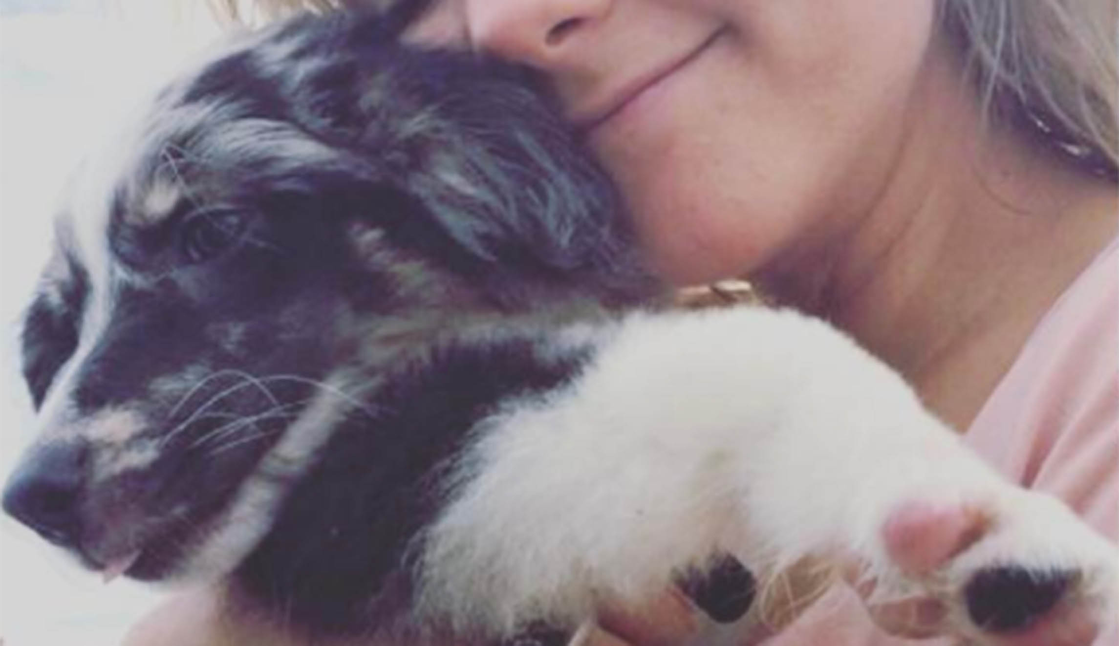 Pence family adopts a kitten and puppy