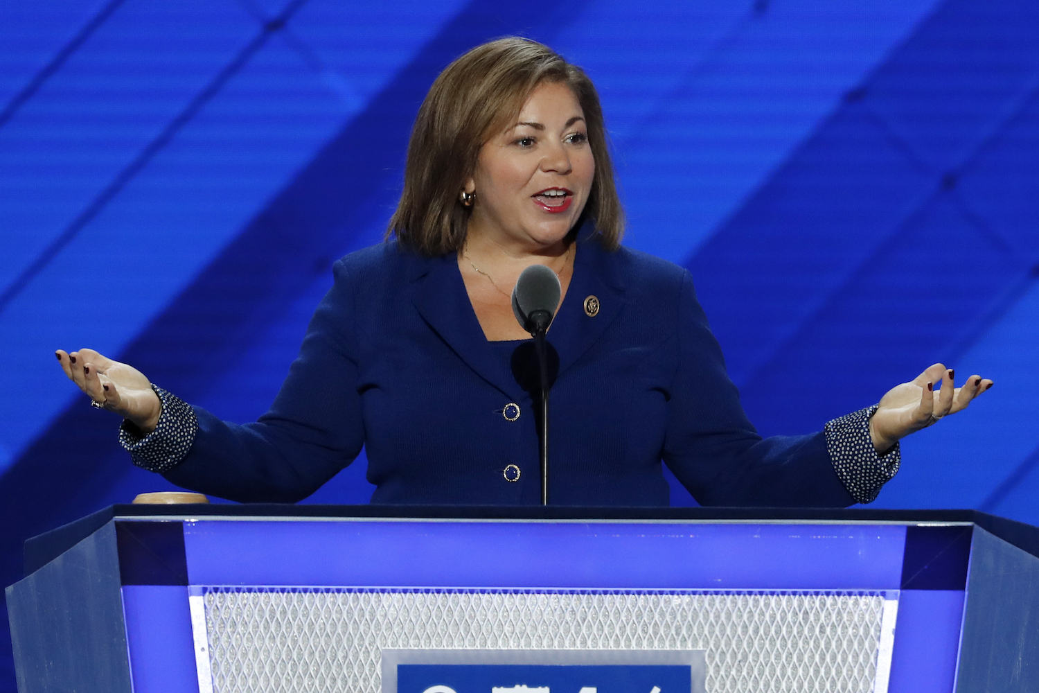 House Democrats won’t help GOP with Obamacare replacement