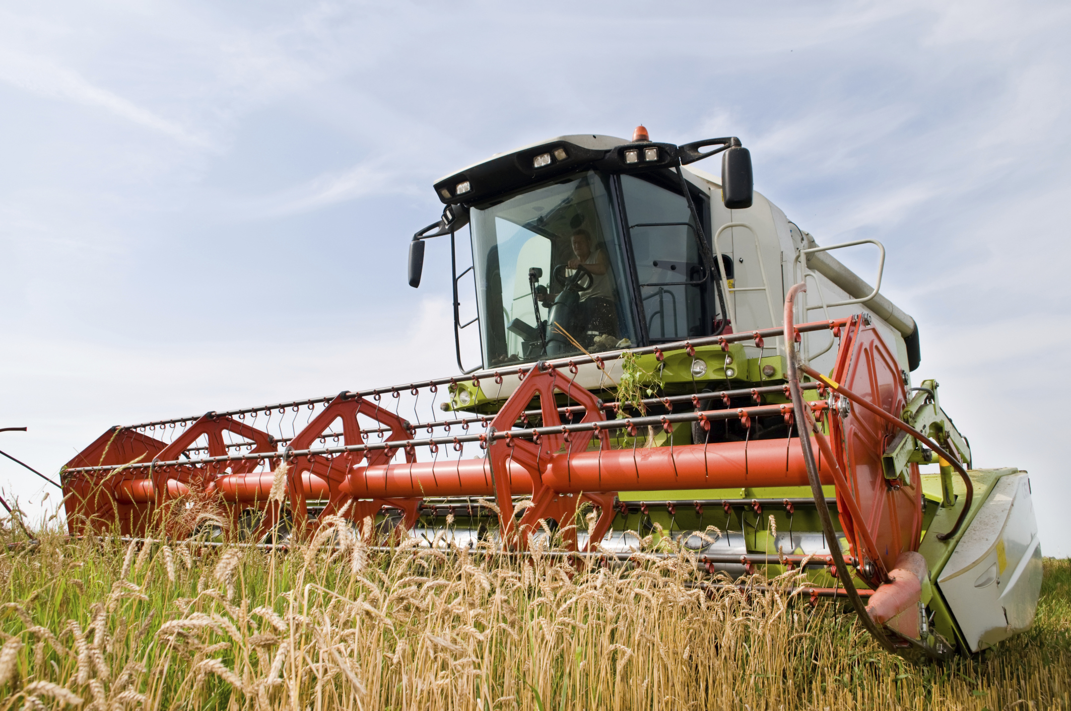 Agriculture groups press for unified farm bill
