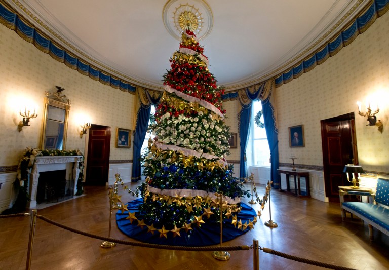 The Chapman family of Wisconsin will present the tree to the first lady. (AP)