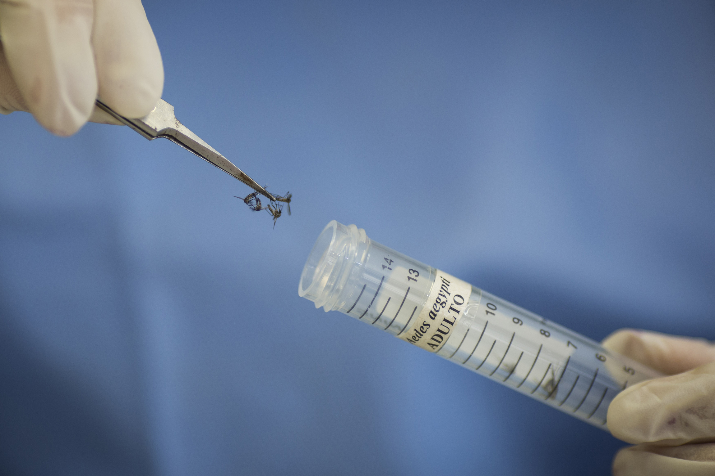 GOP wants more answers on Zika