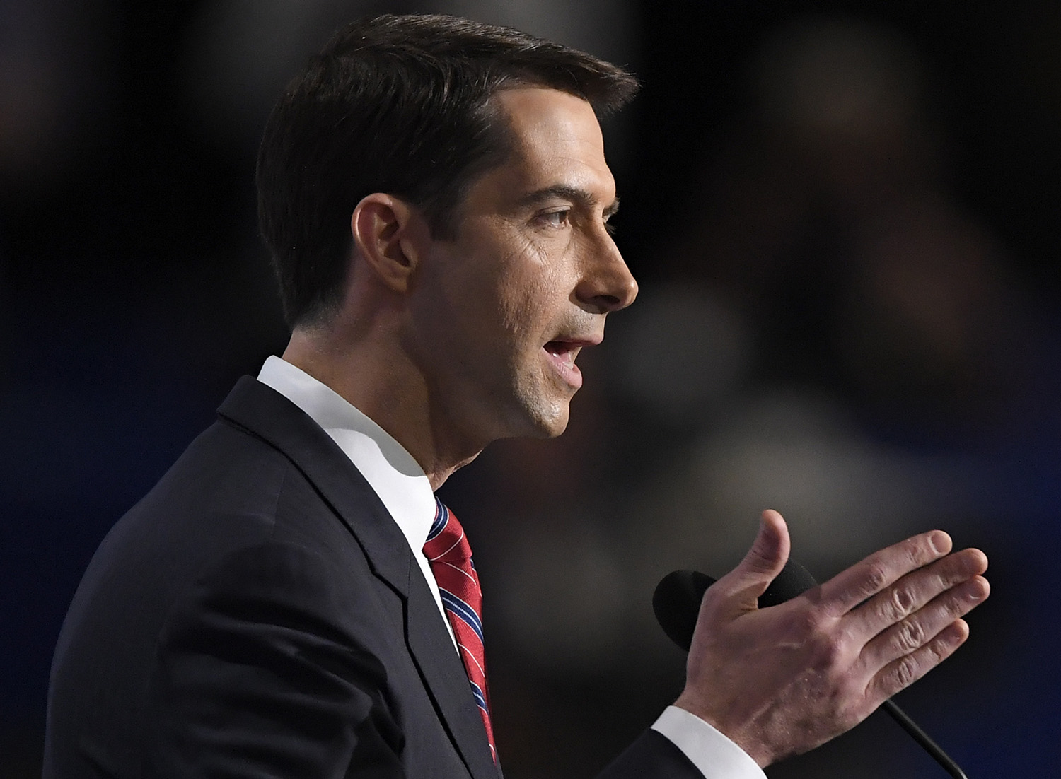 Republican leaders say Tom Cotton halted landslide of GOP objections in Senate