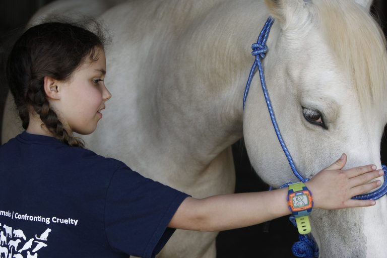 Second-grader Lucie Bohnsack received an individualized tour of the Cleveland Amory Black Beauty Ranch—operated by The Fund for Animals in partnership with The Humane Society of the United States— on May 2, 2015. Animal groups were among those helped by record-breaking U.S. philanthropy in 2015. (Brandon Wade/AP)