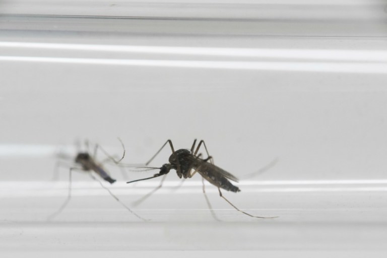A top GOP aide told the Washington Examiner that Republicans plan to move swiftly on Zika funding legislation when they return from the Memorial Day recess. (AP Photo)
