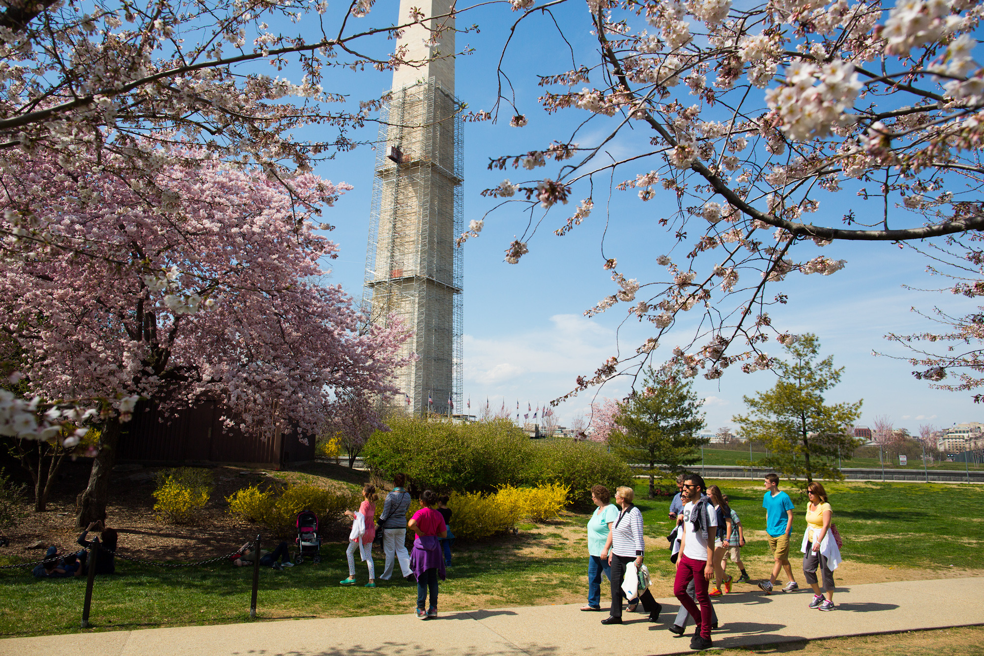 Tourists flock to D.C. despite sequester closures