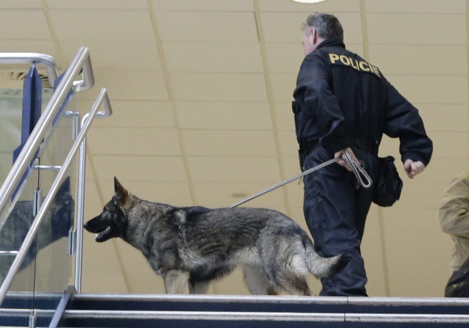 Czech authorities arrest Russian suspect in US hacking