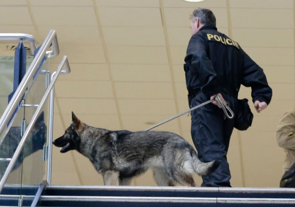 Czech authorities arrest Russian suspect in US hacking
