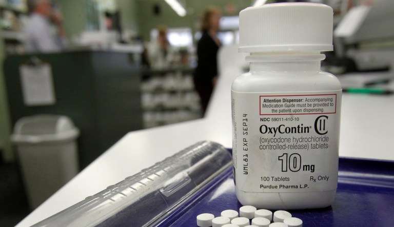 South Carolina is suing the maker of popular painkiller Oxycontin for deceptively marketing the addictive opioid. (AP Photo/Toby Talbot, File)
