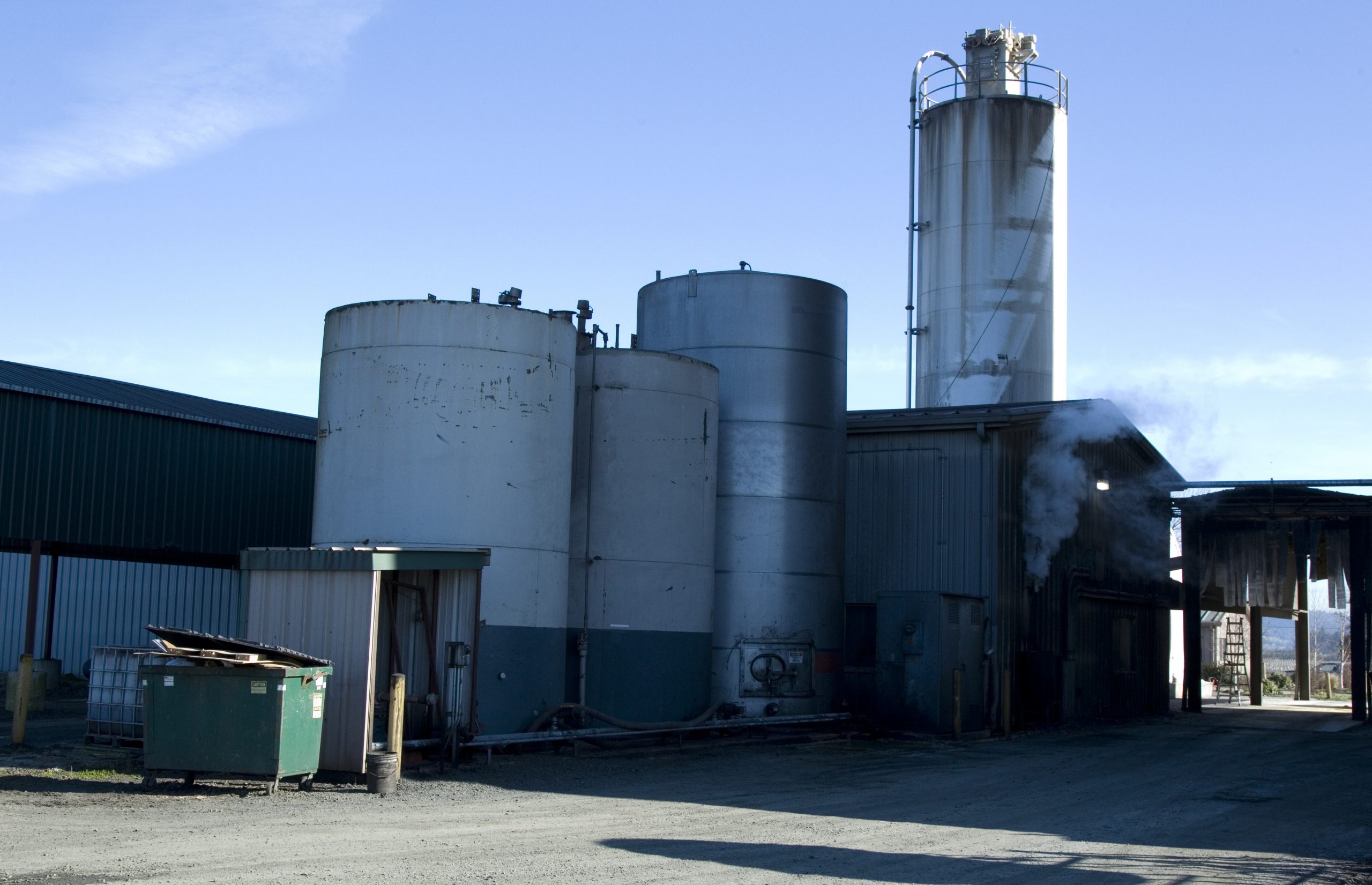 Agency pushes new Willamette Valley canola plan