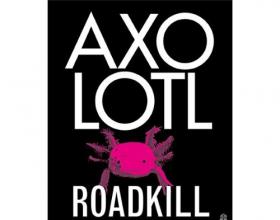 Helene Hegemann, Mixmaster