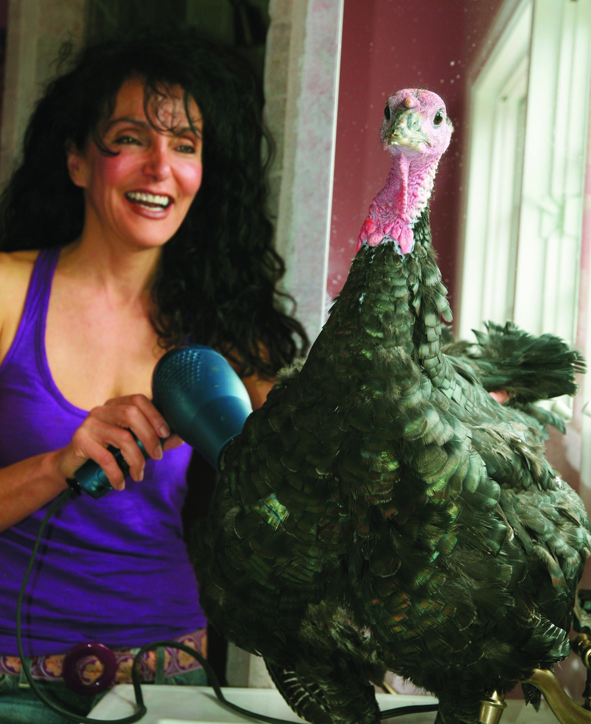 Turkeys: Some people eat them, some feed them