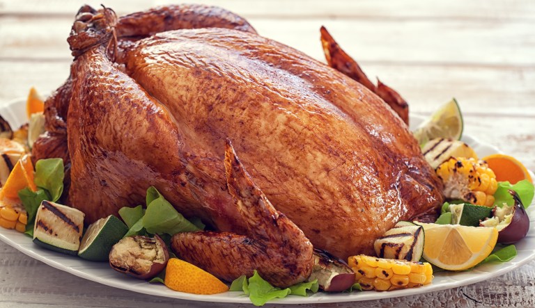 "The menu includes all the traditional fare  turkey, stuffing, mashed potatoes and gravy, sweet potatoes with marshmallows, a variety of baked goods, local produce and cheeses, red snapper, and Florida stone crab," a spokeswoman said.