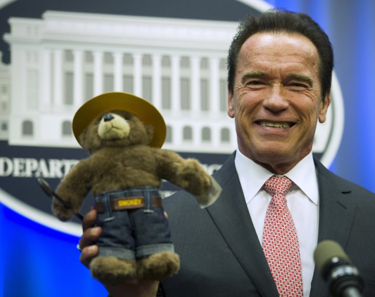 Former California Gov. Arnold Schwarzenegger holds the Smokey the Bear stuffed toy which was presented to him by the U.S. Forest Service during a ceremony at the Agriculture Department in Washington, Wednesday, Oct. 30, 2013, where he was named the agency's third honorary Forest Ranger for his leadership on climate change. Schwarzenegger joins actress Betty White and Rolling Stones keyboard player Chuck Leavell as an honorary ranger.  (AP Photo/Cliff Owen)