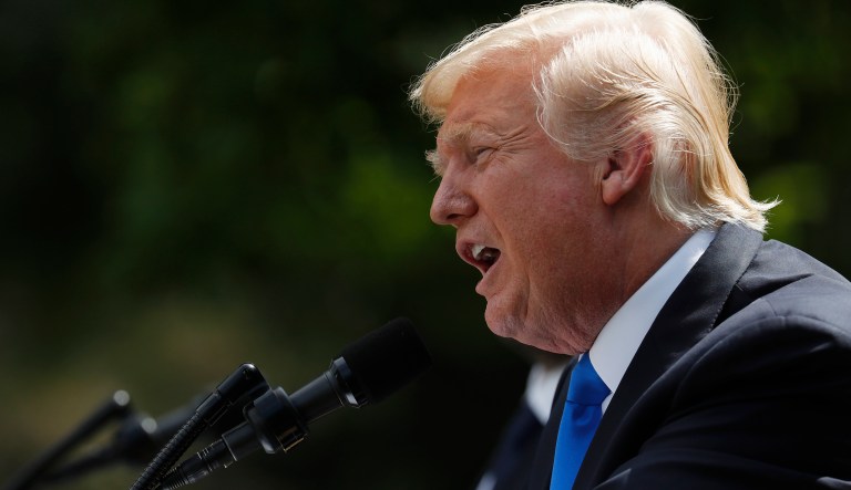 President Donald Trump speaks during a joint news conference with Lebanese Prime Minister Saad Hariri in the Rose Garden of the White House in Washington, Tuesday, July 25, 2017. (AP Photo/Pablo Martinez Monsivais)