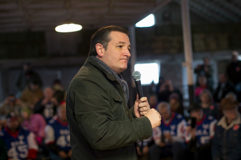 Conservative commentator Dana Loesch picks Cruz