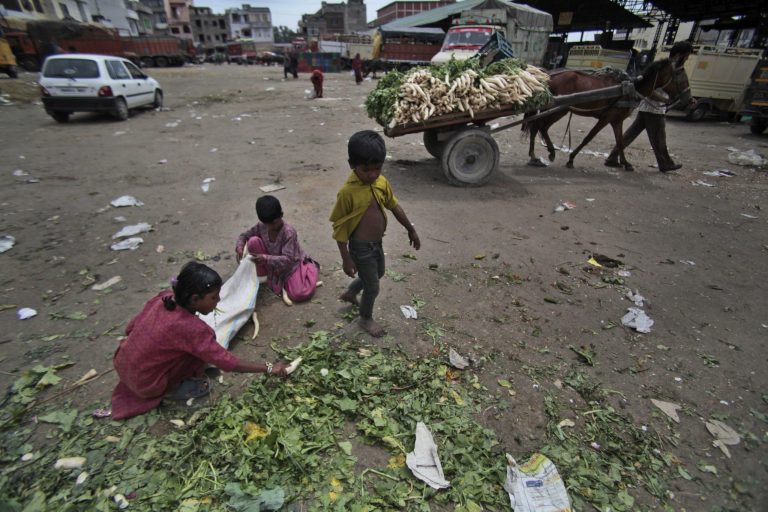 Underprivileged children collect vegetable waste for consumption at a wholesale vegetable market on the outskirts of Jammu, India, Monday, April 21, 2014. India has some of the world's worst poverty and malnutrition with two-thirds of its 1.2 billion people poor and half of the country's children malnourished. (AP Photo/Channi Anand)