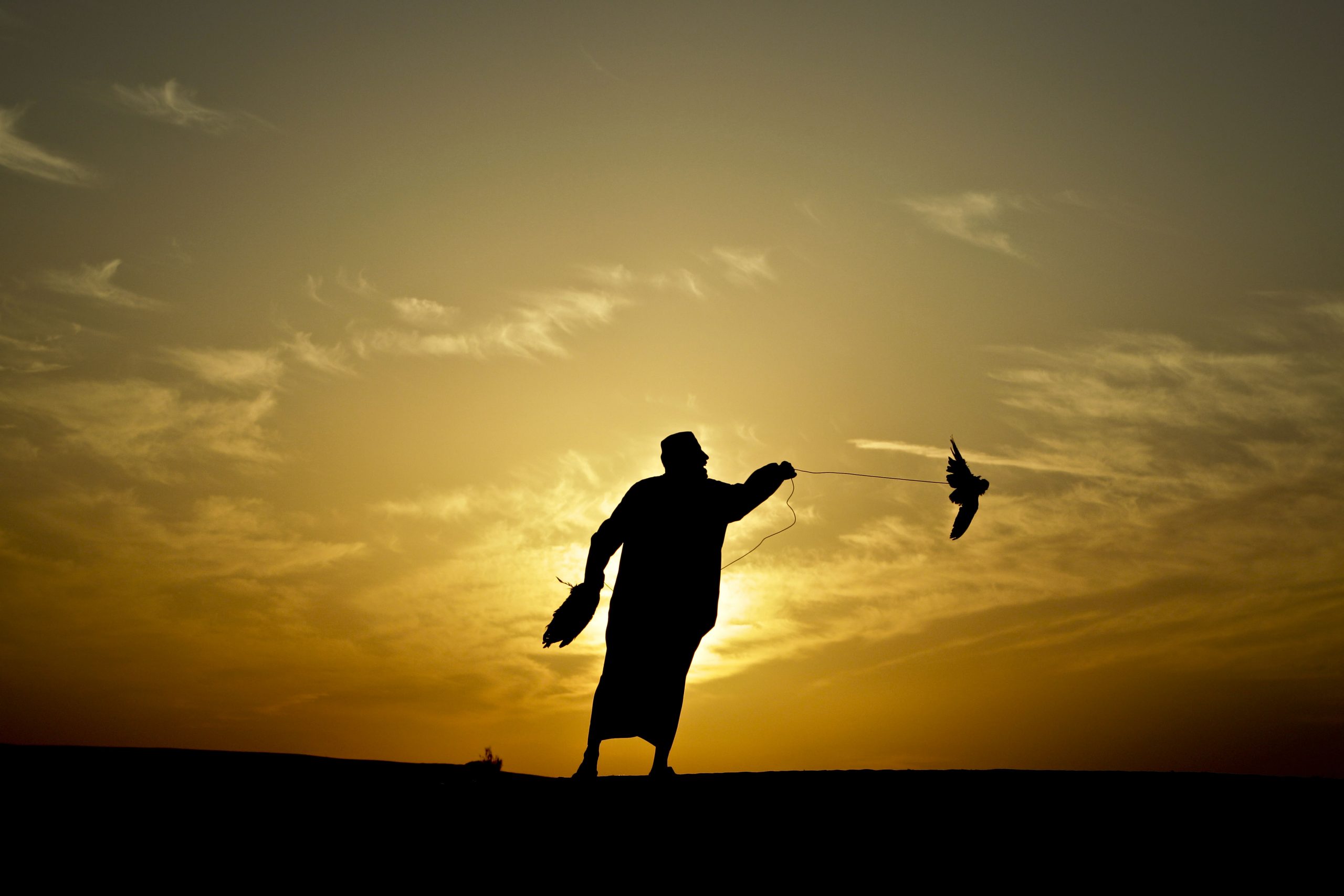 AP Photos: Falconers hunting on outskirts of Dubai