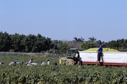 Conservatives ought to know better than to support a minimum-wage hike