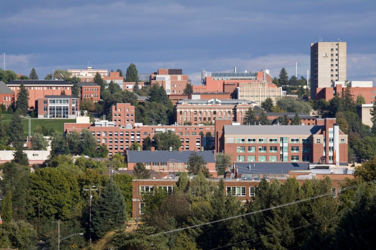 The male student would eventually tell Washington State University officials that he felt 