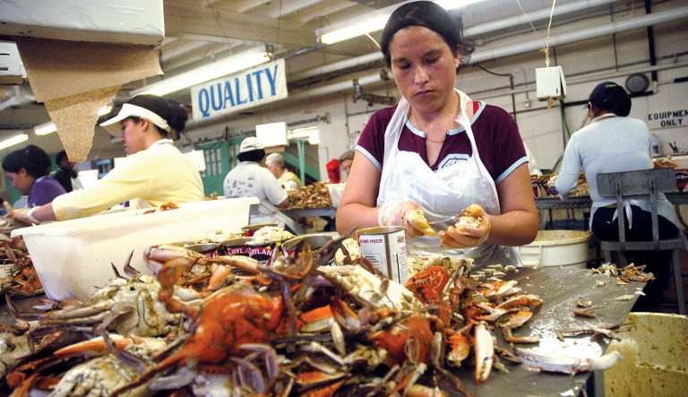 The visas are for seasonal foreign workers only, in industries such as seafood, tourism and other industries that rely on temporary summer workers, excluding agricultural work. (AP Photo/Matthew S. Gunby)