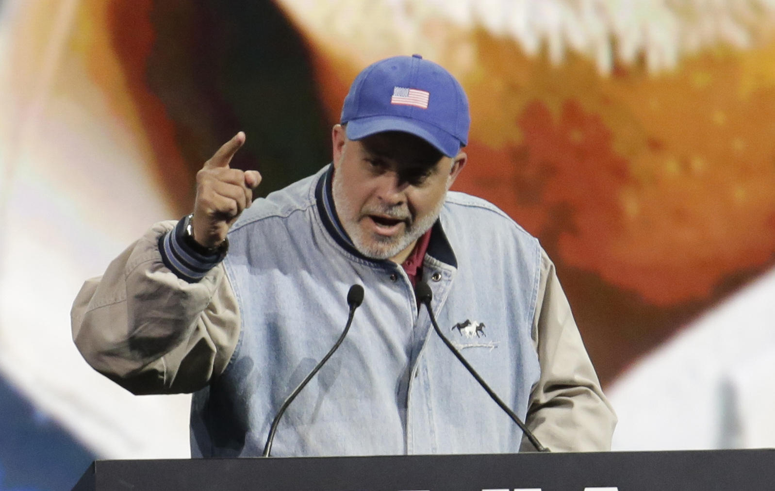 Levin says Facebook ‘is trying to influence the election’s outcome’ after censoring his posts