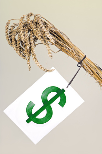 Iowa ranks second in the nation for the $24.9 billion in subsidies its farmers received from 1995 to 2012. (Photo: Thinkstock)